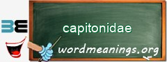 WordMeaning blackboard for capitonidae